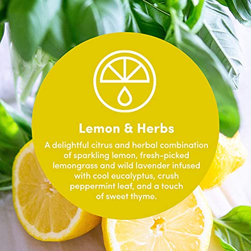 Clean Revolution Multi Surface Cleaner Refill Supply, Non-Toxic, Eco-Friendly & Plant-Based, Ready to Use, Lemon & Herbs, 128 Fl Oz (1 Gallon) - size: 128 Fl Oz (Pack of 1)
