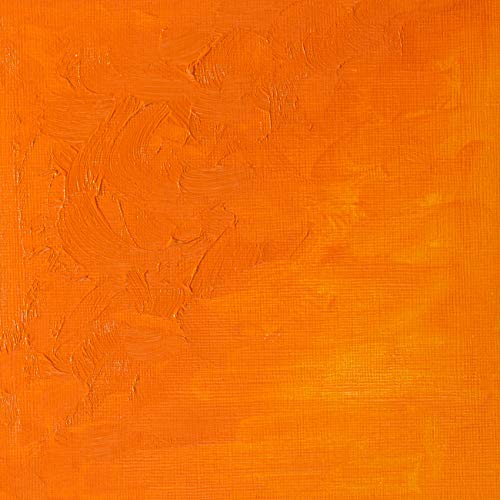 Winsor & Newton Winton Oil Color, 37ml Tube, Cadmium Orange | High-quality pigments, Durable, Lightfast, Permanent, Uniform Consistency, Great Pigment Load - color: Cadmium Orange, size: 1.25 Fl Oz (Pack of 1), style: 1.25-oz Tube