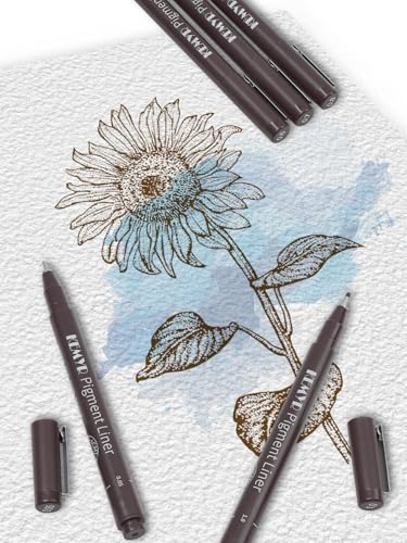 KEMYR 10 Sizes Brown Fineliner Micro Drawing Pens, Waterproof Pigment Ink | Archival Ink,AP Certified,With Case,0.05-1.0mm, for Illustration,Journaling,Sketching,Manga,Drawing,Artists And Beginners - color: Brown Micro Pens 10 SIZES,0.05-1.0mm, style: 10