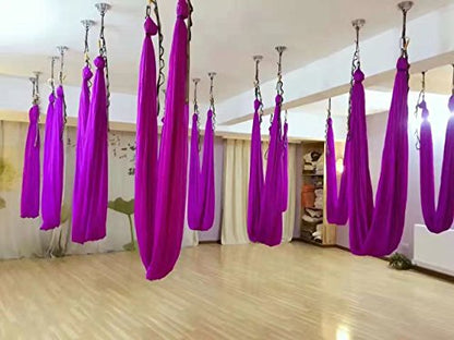 F.Life Aerial Silk Yoga Hammock & Swing for yoga Inversion,Strength training,starter hardware kit - color: purple 2