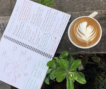 Unruled Classic Blank Spiral Notebook, 60lb Premium Plain Paper, 70 Sheets, Recycled and Sustainable, 10.5" x 8", 3 Pack, Black Foil/Wire