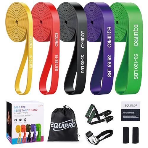 Equipro Resistance Bands, Exercise Bands, Resistance Bands for Working Out with Handles and Door Anchor, Workout Bands for Men Women with Protective Sleeve for Fitness Weights Work Out at Home