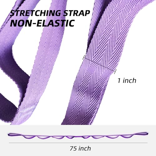 EZYA Stretching Strap with Loops, Non-Elastic Yoga Strap for Physical Therapy & Home Rehab, Mobility Exercise Strap for Pilates, Dance & Gymnastics