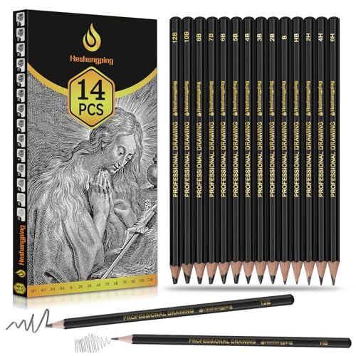 Sketch Pencils Set for Drawing, 14 Pack Graphite, for Art, Pencil kit for Sketching, Shading, Artist Pencils for Beginners Pro Artists