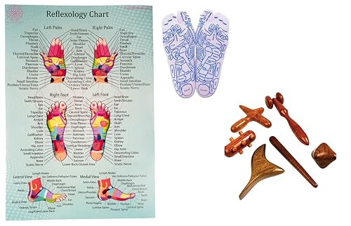 CCcollections Traditional Wooden Massage Reflexology Professional toolsets with accupreasure Charts (English, Set U) - size: Set U