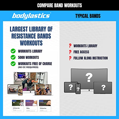 Bodylastics 특허받은 베이직 시리즈 저항 밴드 세트 - 스냅 감소 기술이 적용된 저항 밴드, 손잡이 2개, 발목 스트랩 2개, 도어 앵커 1개 및 휴대용 가방 1개 - color: 기본 1.4-86.2kg(3-190파운드) 세트 모듬