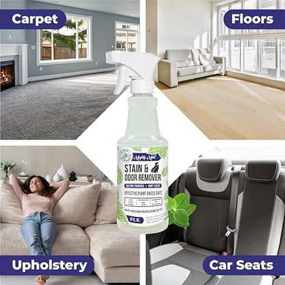Mighty Mint Stain & Odor Remover, Natural Enzyme Spray Safely Neutralizes Odor and Stains from Dogs, Cats on Carpet, Furniture, Natural Peppermint Scent, 16oz