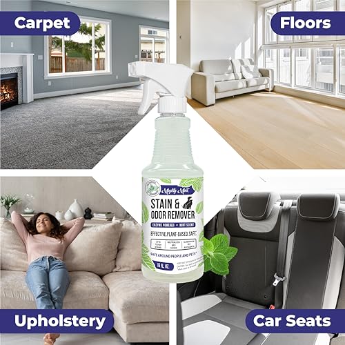 Mighty Mint Stain & Odor Remover, Natural Enzyme Spray Safely Neutralizes Odor and Stains from Dogs, Cats on Carpet, Furniture, Natural Peppermint Scent, 16oz