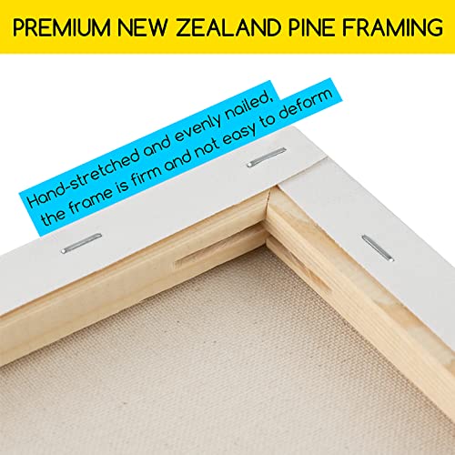 MEEDEN Stretched Canvas, 18 × 24 Inch, Pack of 6, Blank White Canvases for Painting, 100% Cotton, 8 oz Gesso-Primed, Pre-Stretched Canvas for Acrylic Oil Pouring & Airbrushing Painting - size: 18''x24''- 6 Pack