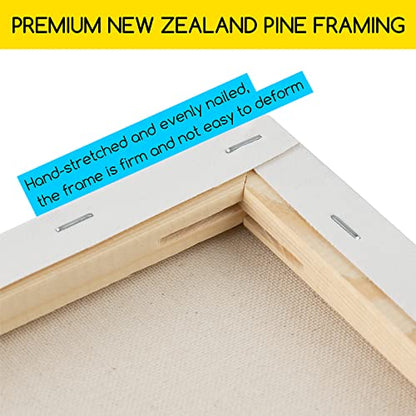 MEEDEN Stretched Canvas, 18 × 24 Inch, Pack of 6, Blank White Canvases for Painting, 100% Cotton, 8 oz Gesso-Primed, Pre-Stretched Canvas for Acrylic Oil Pouring & Airbrushing Painting - size: 18''x24''- 6 Pack