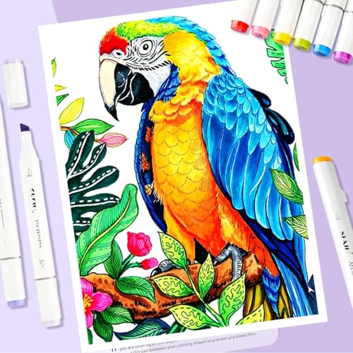 SFAIH Dual Tip Alcohol Markers, 81 Colors, Chisel & Fine Art Coloring Set | Storage Case, Gift for Beginner, Non-Toxic, Adult Coloring Books Illustration Drawing, Colorless Blender & No-Bleed Sheet - color: 81 Colors
