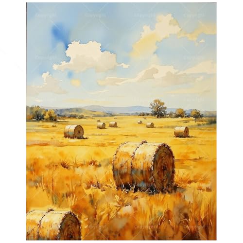 Hay Field Paint by Numbers Kit for Adults - DIY Golden Hay Bales in Meadow Painting on Canvas, Acrylic Paint Set, Suitable for Beginners, Art for Home Decoration or Gifts(16X20IN Framed) - color: HSX02621, size: 16X20IN Framed