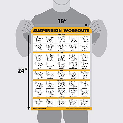 Palace Learning 3 Pack Suspension Workout Posters - Volume 1, 2 & 3 - Exercise Charts