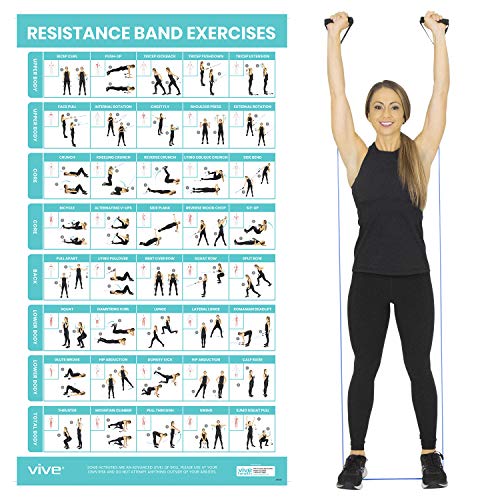 Vive Resistance Band Workout Poster (40 Illustrations) Laminated Bodyweight Hitt Exercise Chart for Abs, Glute, Back, Legs - Stretch Routine for Home Gym, Garage, for Men, Women - Cable Trainings | Hitt Exercise Chart for Abs, Glute, Back, Legs - Stretch