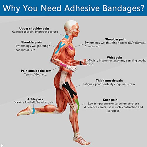 Self Adherent Cohesive Wrap Bandages 2 Inches (Black, 6 Count) - color: Black, size: 6 Count (Pack of 1)