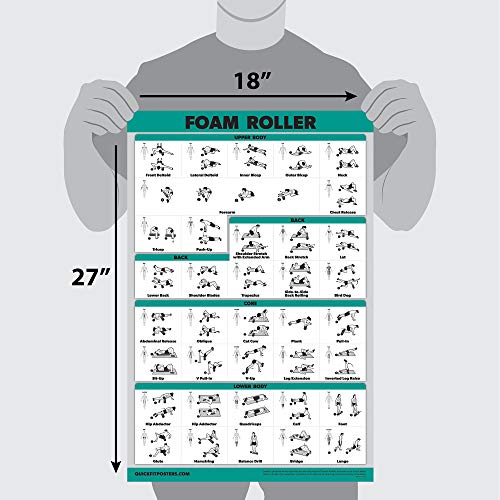 Palace Learning Foam Roller Exercise Poster - Stretching and Workout Routine for Foam Roller (Laminated, 18" x 24")