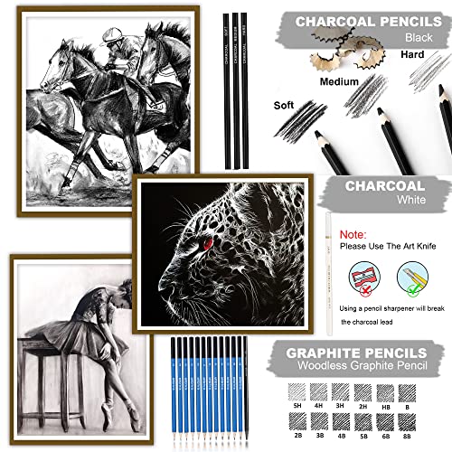 KALOUR 33 Pro Drawing Kit Sketching Pencils Set,Portable Zippered Travel Case-Charcoal Pencils, Sketch Pencils, Charcoal Stick,Sharpener,Eraser.Art Supplies for Artists Beginner Adults Teens