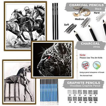 KALOUR 33 Pro Drawing Kit Sketching Pencils Set,Portable Zippered Travel Case-Charcoal Pencils, Sketch Pencils, Charcoal Stick,Sharpener,Eraser.Art Supplies for Artists Beginner Adults Teens