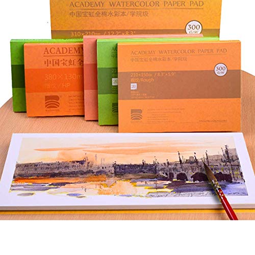 BAOHONG Academy Grade Watercolor Block, 100% Cotton, Acid-Free, 140LB/300GSM, Cold Press Textured, 20 Sheets per Block (2 of Cold Press 10.2"x7" Block) - size: Cold Press 10.2" x 7" (2 Blocks)