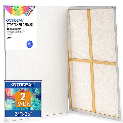 GOTIDEAL Stretched Canvases for Painting, 24x36 Inch Set of 2 | Primed White - 100% Cotton Blank Art Large Canvas Boards for Painting for Acrylic Pouring, Oil Paint Dry & Wet Art Media - color: White, size: 24"x36"