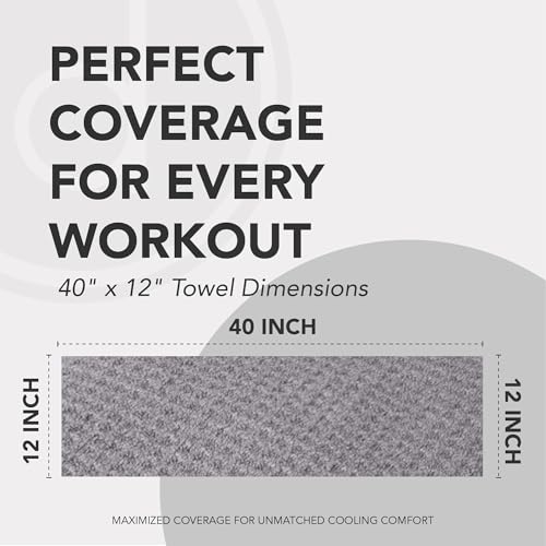 Microfiber Cooling Towels for Neck and Face - 2 Pack 44x16.5” Mesh Quick Dry Gym Towels for Working Out with Waterproof Bag and Carabiner - Sweat Rag for Gym, Sports, Outdoor Activities
