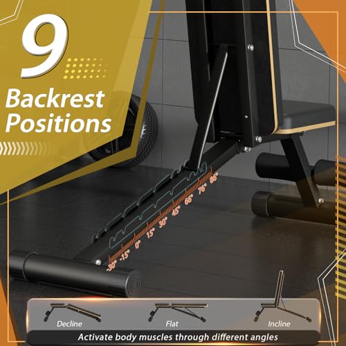 FitGoods Adjustable Weight Bench - Heavy-Duty Foldable Workout Bench for Home Gym, 660 LBS Capacity, Incline & Decline, Multi-Position Strength Training Bench, Compact Storage