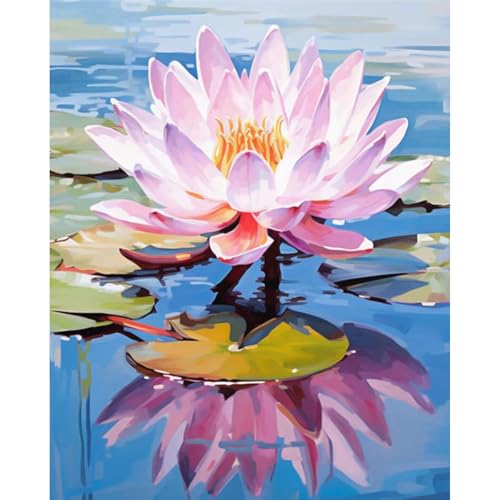 Paint by Numbers Kit for Adults, Lotus DIY Acrylic Painting Kit, 16x20 Inch | Water Lily Paint by Numbers for Adults Beginners, Without Frame, Relaxing Hobby, Floral Wall Art, Home Decor, Creative Gift - color: CYOP1P08