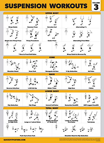 Palace Learning 3 Pack Suspension Workout Posters - Volume 1, 2 & 3 - Exercise Charts