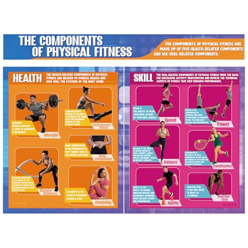 Tinlade Physical Fitness Classroom Poster Set Extra Large 34.5” x 26.5” - style: Physical Training