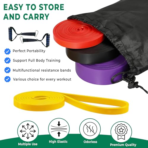 Resistance Band Sets with Accessories – 5 Level Pull Up Exercise Bands with Handles, Door Anchor & Carry Bag | Workout Bands for Strength Training, Home Gym & Fitness