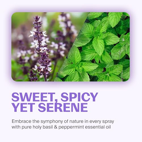 Fuwa3e Pineapple Enzyme Natural All Purpose Cleaner Spray Serene Holy Basil & Peppermint - 16.9oz 1 Pack - Non Toxic Multi Surface 99% Plant Based Cleaner from Discarded Pineapple Peels - size: 16.9 Fl Oz (Pack of 1)