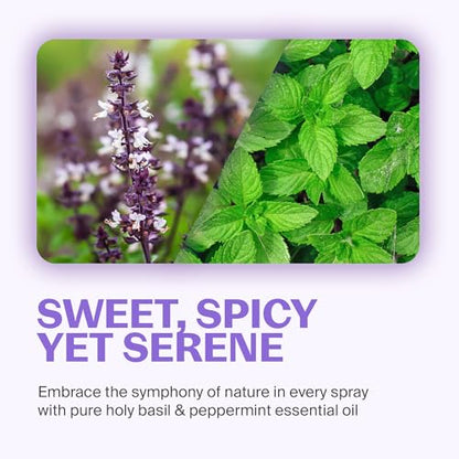 Fuwa3e Pineapple Enzyme Natural All Purpose Cleaner Spray Serene Holy Basil & Peppermint - 16.9oz 3 Pack - Multi Surface Cleaner 99% Plant Based Cleaner from Discarded Pineapple Peels - size: 16.9 Fl Oz (Pack of 3)