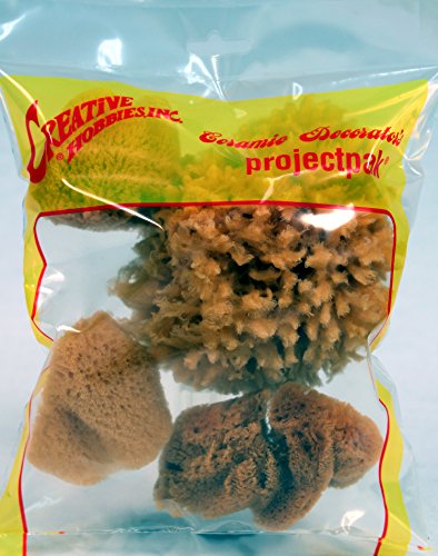 Creative Hobbies® Synthetic and Natural Silk Sponges for Painting, Crafts, Ceramics, Pottery and More, Value Pack of 7 Sponges
