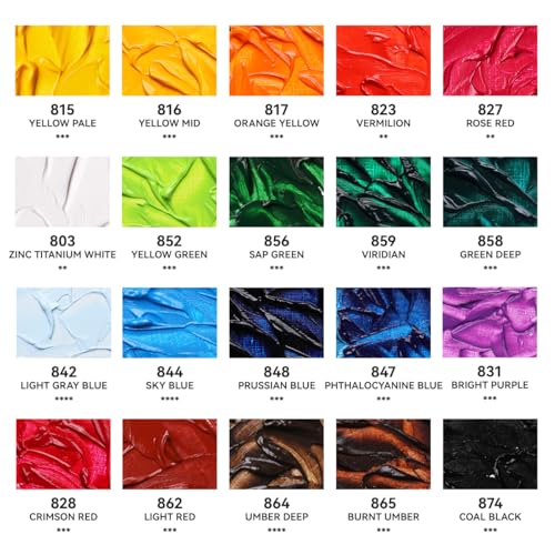 Paul Rubens Oil Paint, 20 Basic Colors*170 ml Large Professional Tubes | Oil Based Paint with High Saturation, Creamy Texture, and Consistency,Art Supplies for Artists, Students, Beginners - color: 20 colors*170ml-B