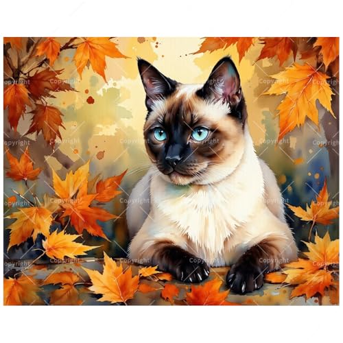 TAOPAOLAB Blue-Eyed Cat in Autumn Paint by Numbers Kit for Adults - DIY Siamese Cat and Fall Foliage Painting on Canvas 16x20 Inches, Acrylic Paint Set, Suitable for Beginners, Pet Art for Decoration - color: FM04719, size: 40×50cm Unframed