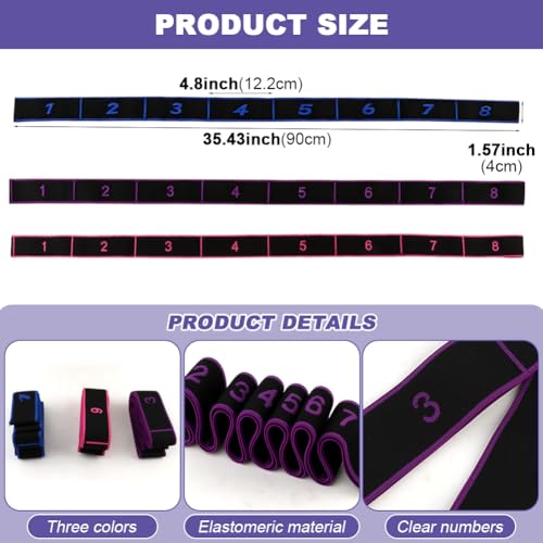 Fitness Resistance Bands with Handles, 8-Section Elastic Training Bands, Exercise Bands for Yoga and Stretching, Full Body Workout Gear for Full Body Stretching Shaping