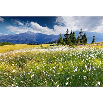 10x8ft Vinyl Summer Landscape Backdrops for Photography Background Blooming Flower Mountain Landscape Grass Field Vacation Holiday Party Backdrop Children Adults Portraits Photo Studio - size: 10x8ft