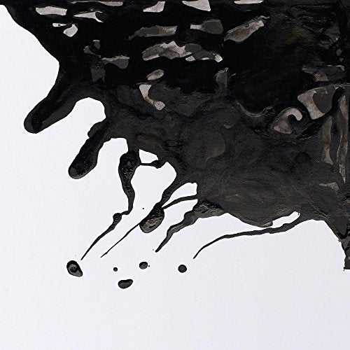 Winsor & Newton Drawing Ink, 14ml Bottle, Black Indian | Fast-drying, transparent & water-resistant; Outstanding Color Brilliance; Perfect for brush, dip pen, airbrush applications. - color: Black Indian, style: 14ml Bottle