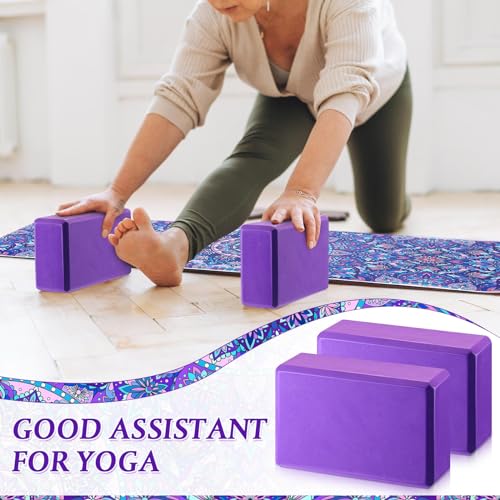 Tinideya 3 Pcs Yoga Mat and Blocks Set 6mm Non Slip Strap - color: Purple