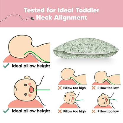 Toddler Pillow with Pillowcase, 13x18 My Little Dreamy Pillow (DinoDood) - color: Dinodood