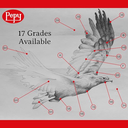 Pepy Graphite Professional Drawing Pencils - Set of 12 8H Pre-Sharpened Black Lead Pencils; Perfect for Drawing, Sketching and Shading, Graphic and Fine Art - style: Set of 12 - 8H