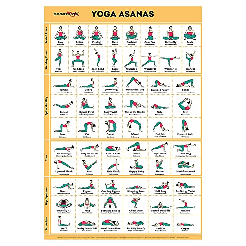 SPORTAXIS Yoga Poses Poster- 64 Yoga Asanas For Full Body Workout- Laminated Home Workout Poster With Colored Illustrations - English And Sanskrit Names - size: 18x27