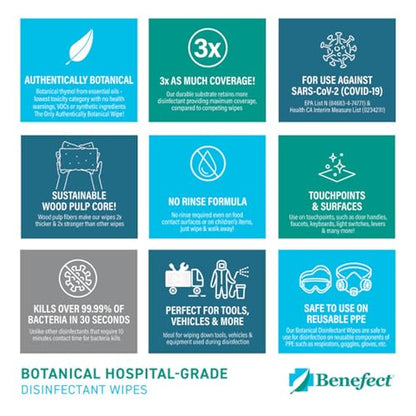 Benefect 식물성 소독 물티슈 - (170장) 천연, 잔여물 없음 - 항균 소독제, 다중 표면 세척 및 살균 물티슈 - size: 170 Count (Pack of 1)