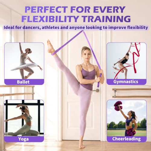 Stretching Strap with Door Anchor for Flexibility & Physical Therapy