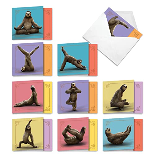 The Best Card Company - 10 Blank Yoga Note Cards (4x 5.12 Inch) - Boxed Notecards with Envelopes, Cute Animal Cards, Zen Assortment - Sloth Yoga AMQ6255OCB-B1x10 - style: Sloth Yoga