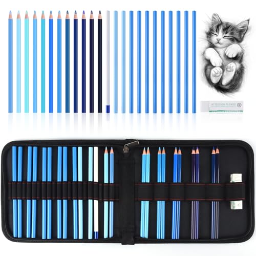 Professional Drawing Set,12 Colored Pencils,12 Graphite Pencils,Eraser,Case | Portable Travel Colored Pencil Case,Sketching Shading Blending Art Supplies,Gifts for Artists Adults Beginners.Blue Black - color: Set-Blue