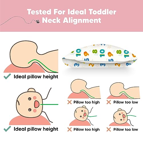 Toddler Pillow with Pillowcase, 13x18 My Little Dreamy Pillow (Dino123) - color: Dino123