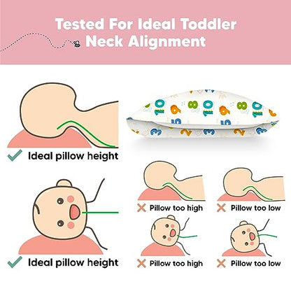 Toddler Pillow with Pillowcase, 13x18 My Little Dreamy Pillow (Dino123) - color: Dino123