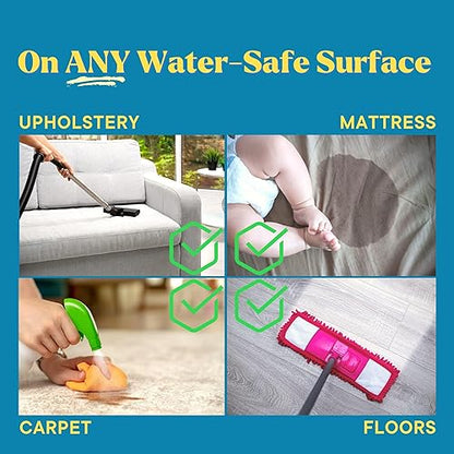 Natural Odor and Stain Remover Spray - Unscented Plant-Based Child and Pet Safe Cleaner Earth-Friendly Odor Eliminator Eco Cleaning Products for Home, Carpet, Upholstery 16 oz - size: 16 Fl Oz (Pack of 1)