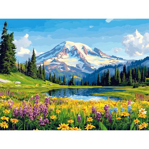 Diamond Art Kits for Adults,Mountain Diamond Painting Kits for Adults | Mount Rainier National Park 5d Diamond Painting Kit with Diamond Art Accessories for Home Wall Decor 12 x 16inch - color: Mount Rainier National Park